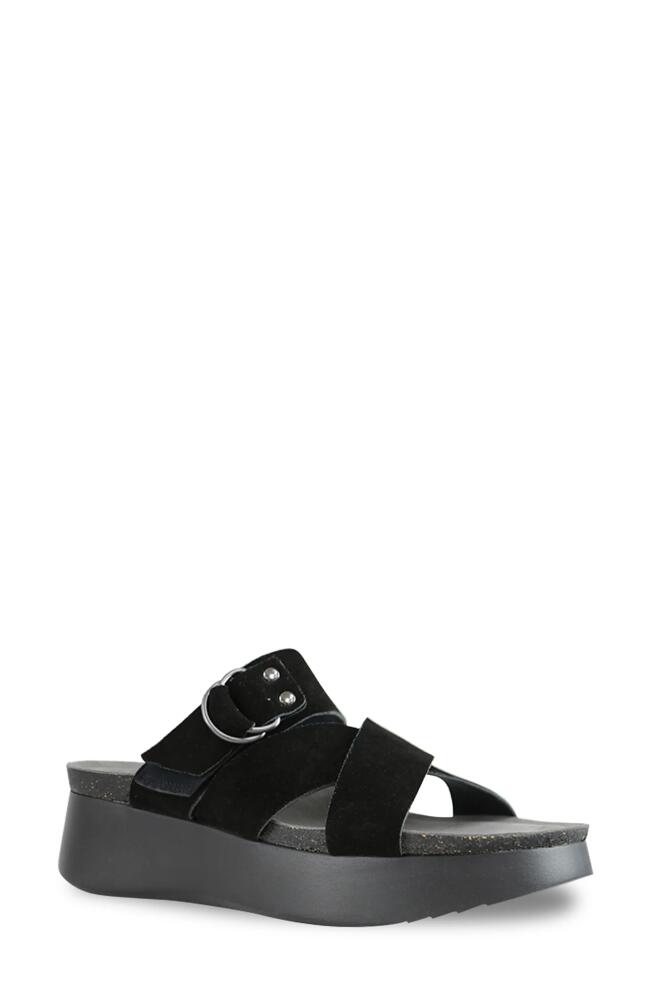 Munro Sofia Platform Sandal in Black Suede Cover