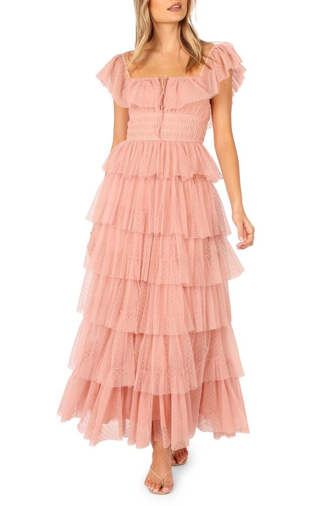 Petal & Pup Belle Swiss Dot Tulle Tiered Maxi Dress in Blush Cover