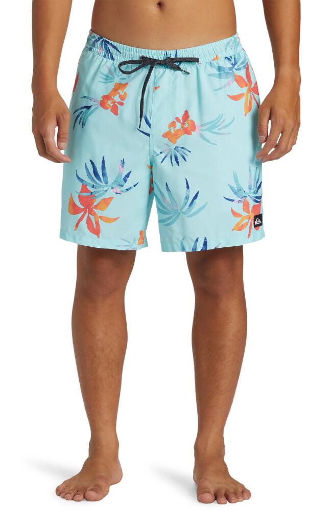 Quiksilver Everyday Mix Volley Swim Trunks in Limpet Shell Cover