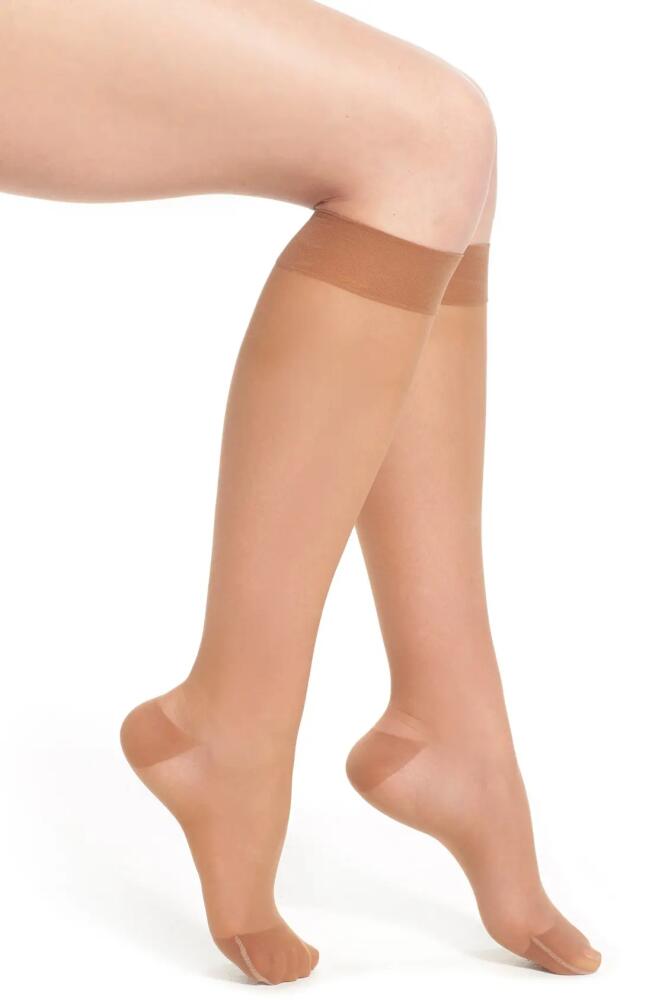 ITEM m6 Sheer Compression Knee High Socks in Toffee Cover