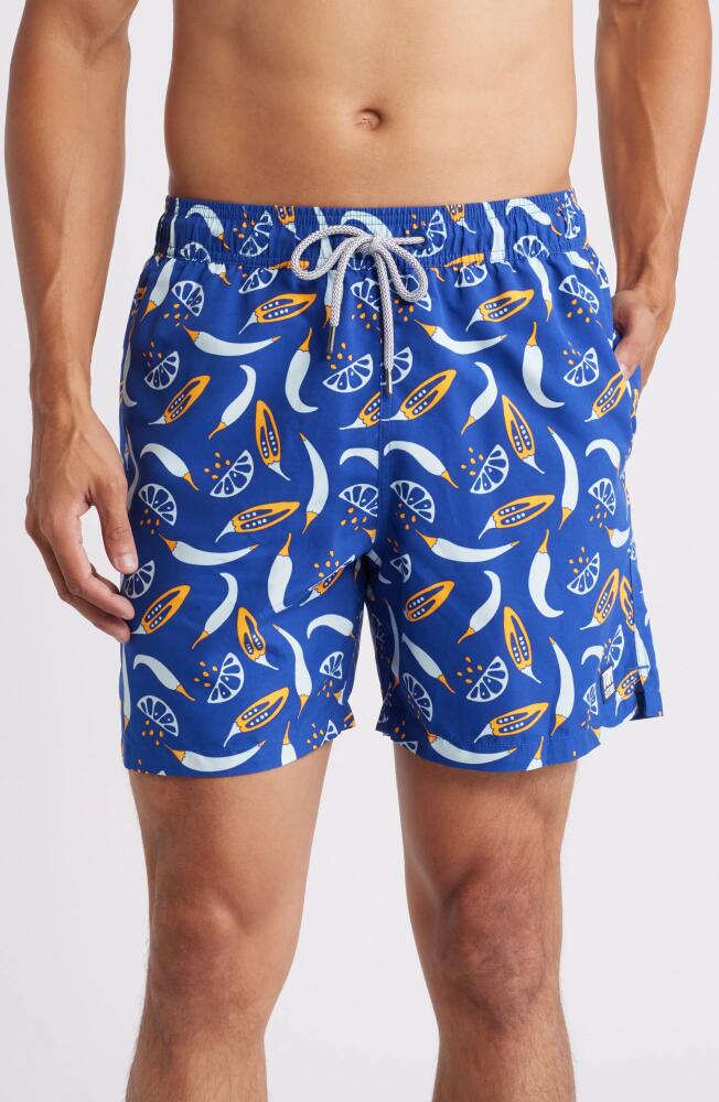 Tom & Teddy Chilli Swim Trunks in Blue & Orange Cover