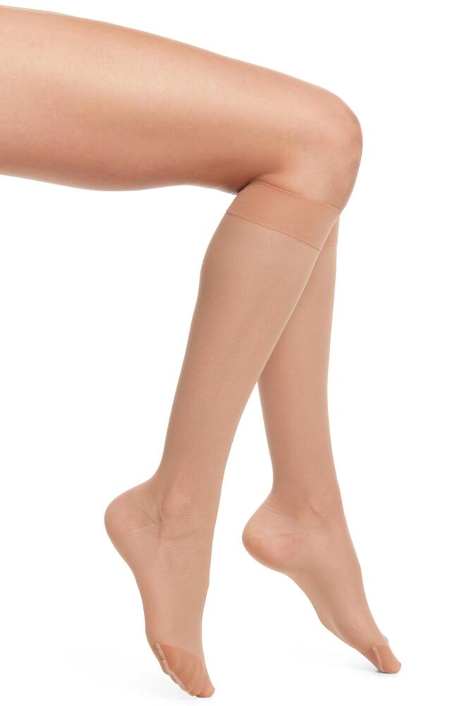 ITEM m6 Sheer Compression Knee High Socks in Butterscotch Cover