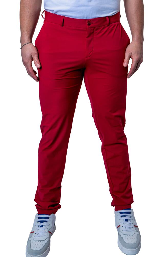 Maceoo Allday Slim Fit Pants in Red Cover