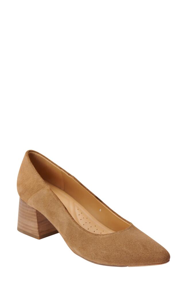 Nisolo Fiorela Go-To Pointed Toe Pump in Taupe Cover