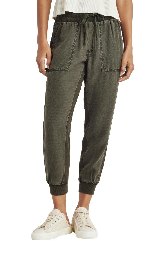 Splendid Lakeside Jogger Pants in Olive Cover