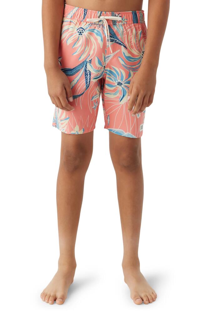 O'Neill Hermosa Swim Trunks in Coral Cover