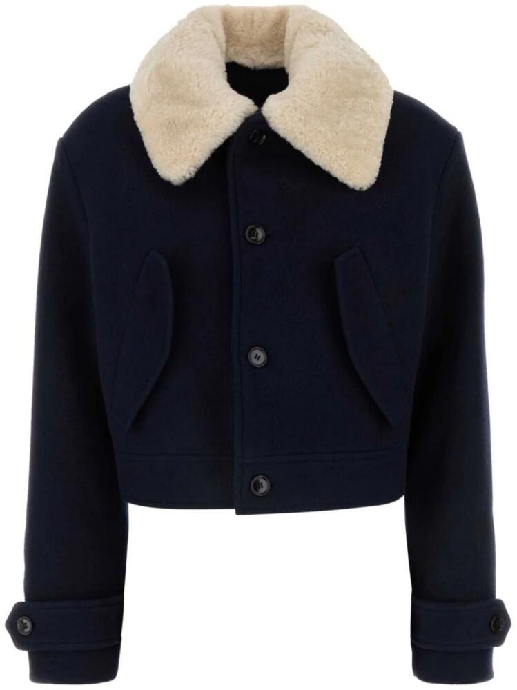 AMI Paris faux-fur collar wool jacket - Blue Cover