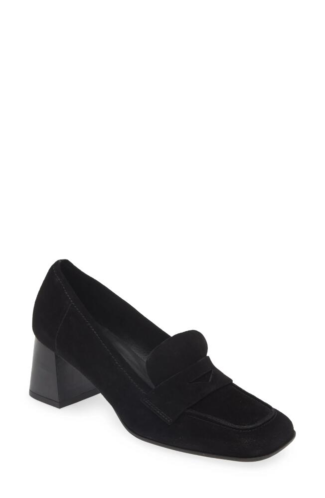 Chocolat Blu Zaza Penny Loafer Pump in Black Suede Cover