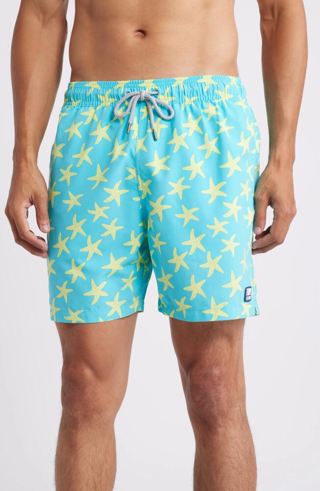 Tom & Teddy Starfish Swim Trunks in Sky & Yellow Cover