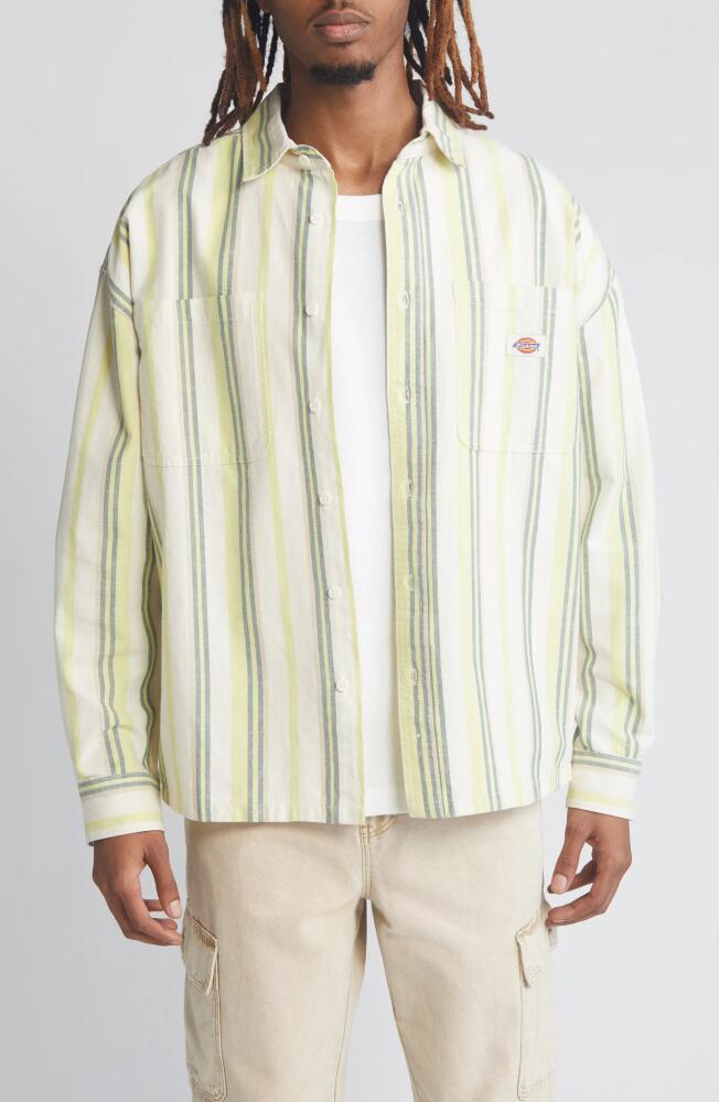 Dickies Glade Stripe Cotton Button-Up Shirt in Various Stripes Cover