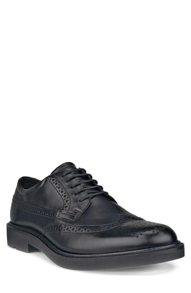 ECCO Metropole London Wingtip Oxford in Black Cover