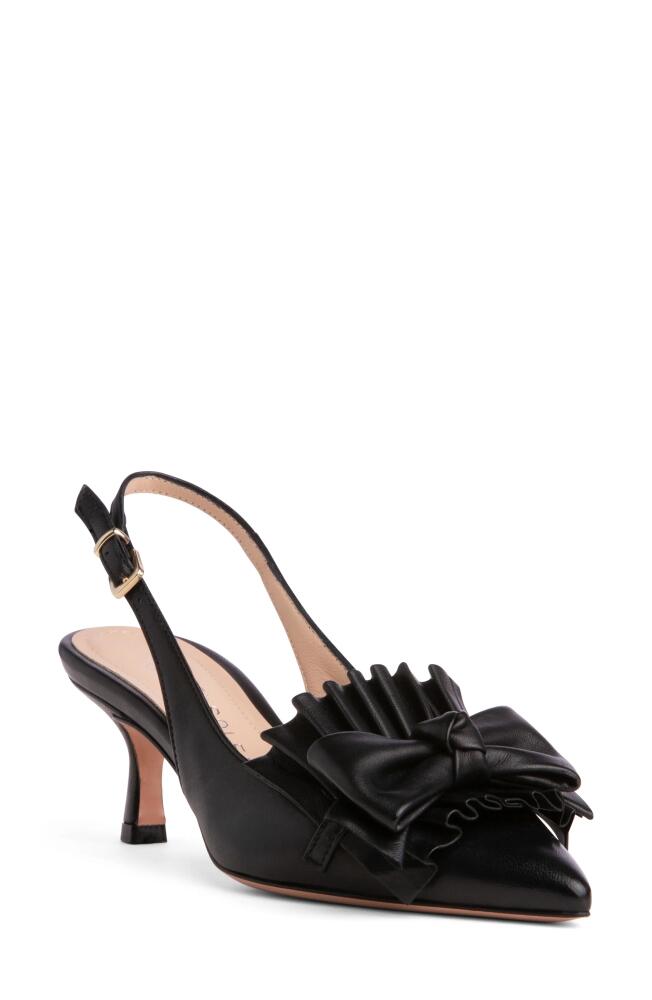 BEAUTIISOLES Fiorella Slingback Pointed Toe Pump in Black Cover