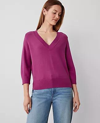 Ann Taylor Scallop Trim V-Neck Wedge Sweater Cover