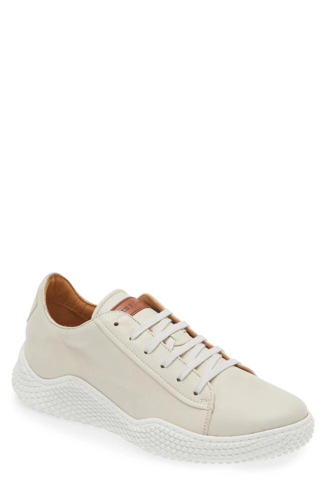 Mezlan Scallop Sneaker in White Cover