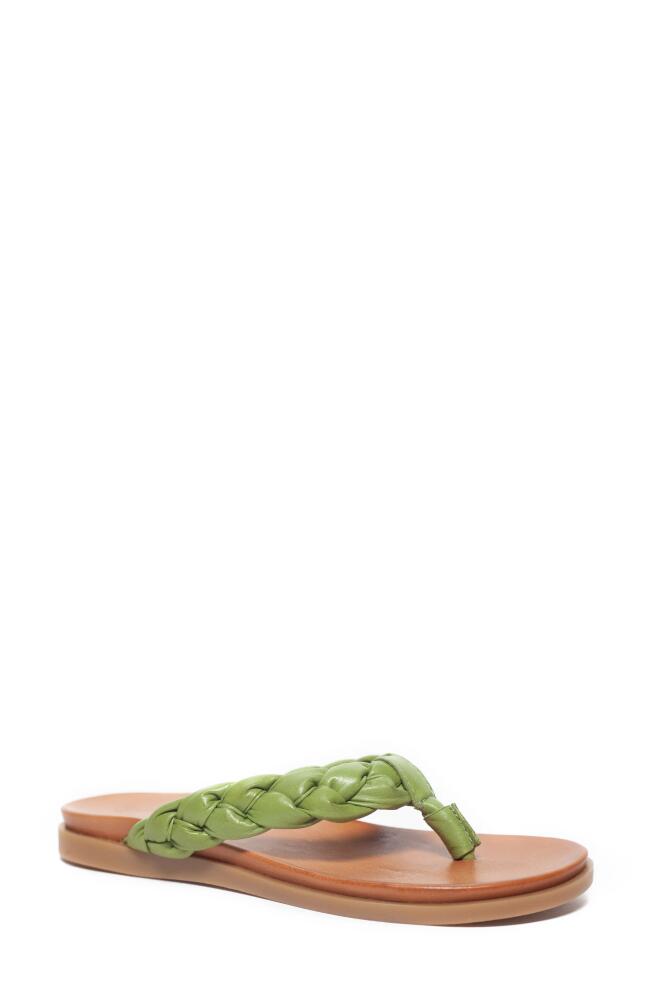 Unity in Diversity Diona Flip Flop in Herbal Green Cover