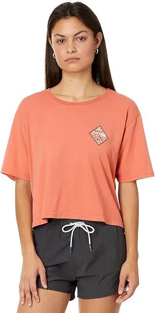 Salty Crew Tippet Fill Crop Tee (Terracotta) Women's Clothing Cover