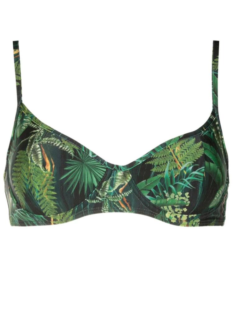 Lygia & Nanny Fiji leaf-print bikini top - Green Cover