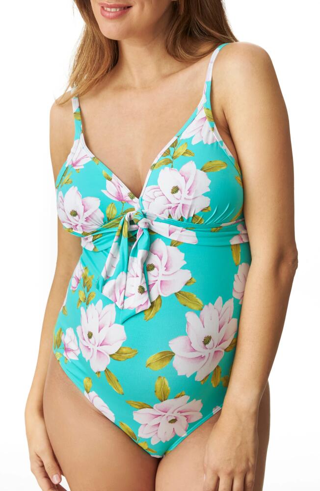 Pez D'Or Mauve Floral One-Piece Maternity Swimsuit in Aqua Cover