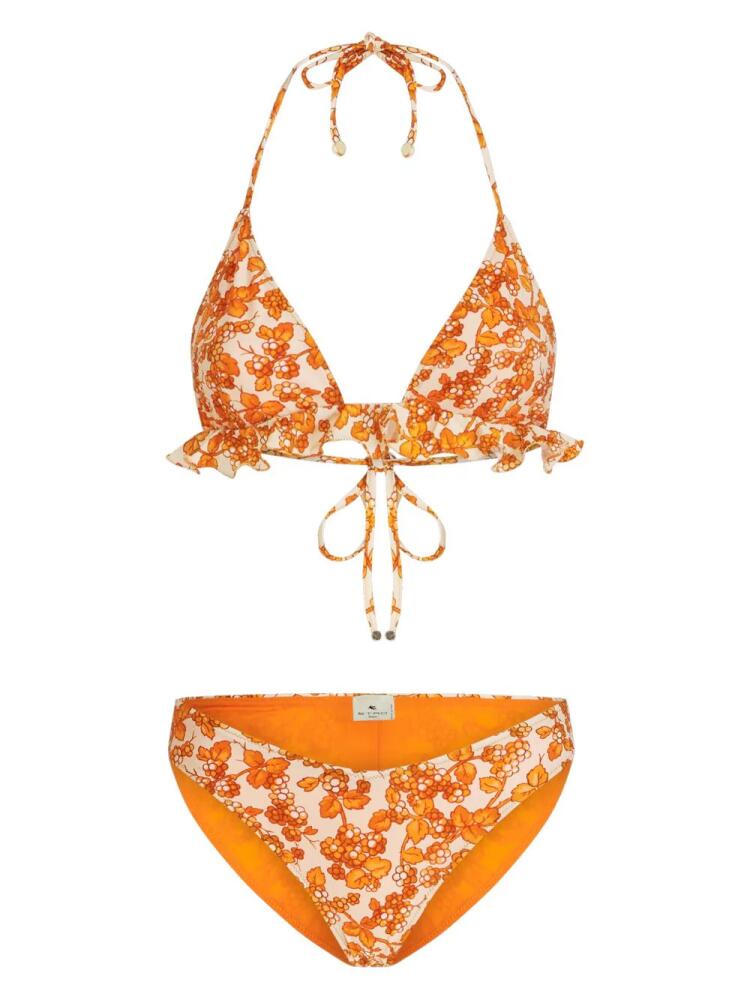 ETRO Berry-print triangle bikini - Orange Cover