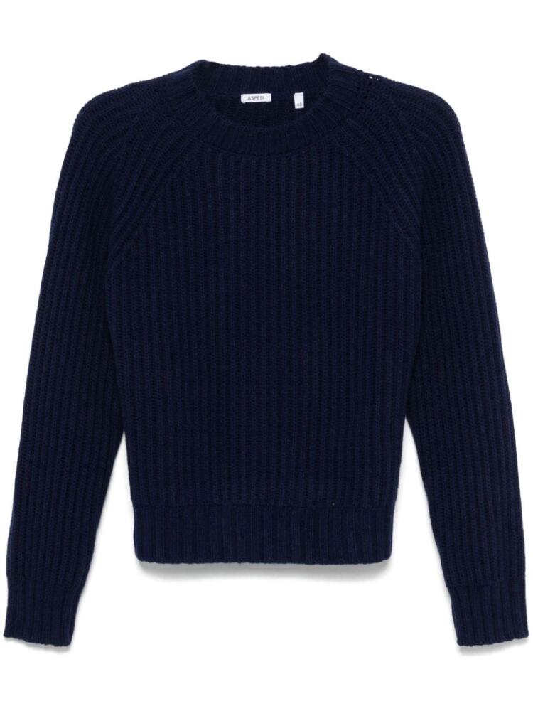 ASPESI ribbed-knit sweater - Blue Cover