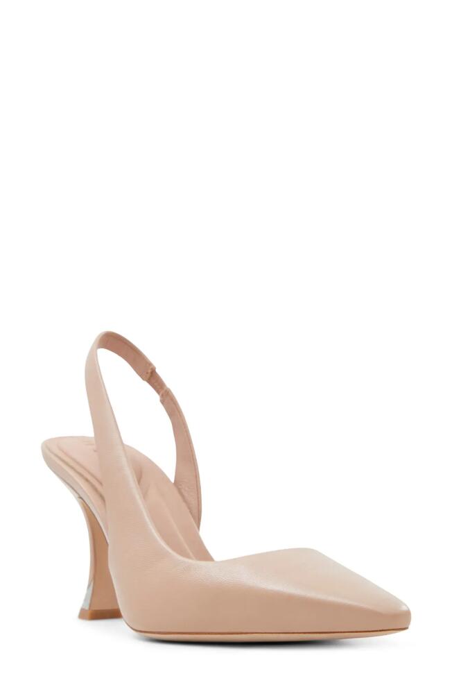 Ted Baker London Ari Slingback Pointed Toe Pump in Pink Cover