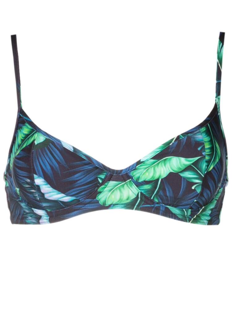 Lygia & Nanny Fiji leaf-print bikini top - Blue Cover