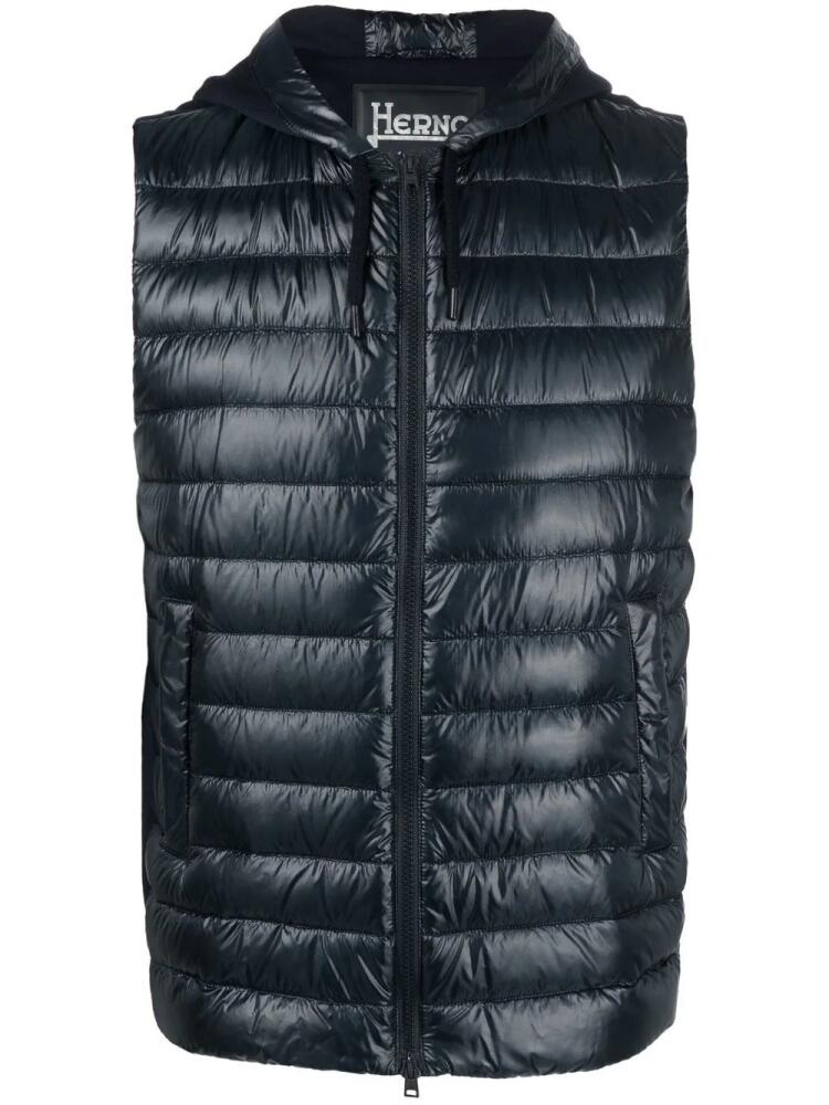 Herno padded hooded gilet - Blue Cover