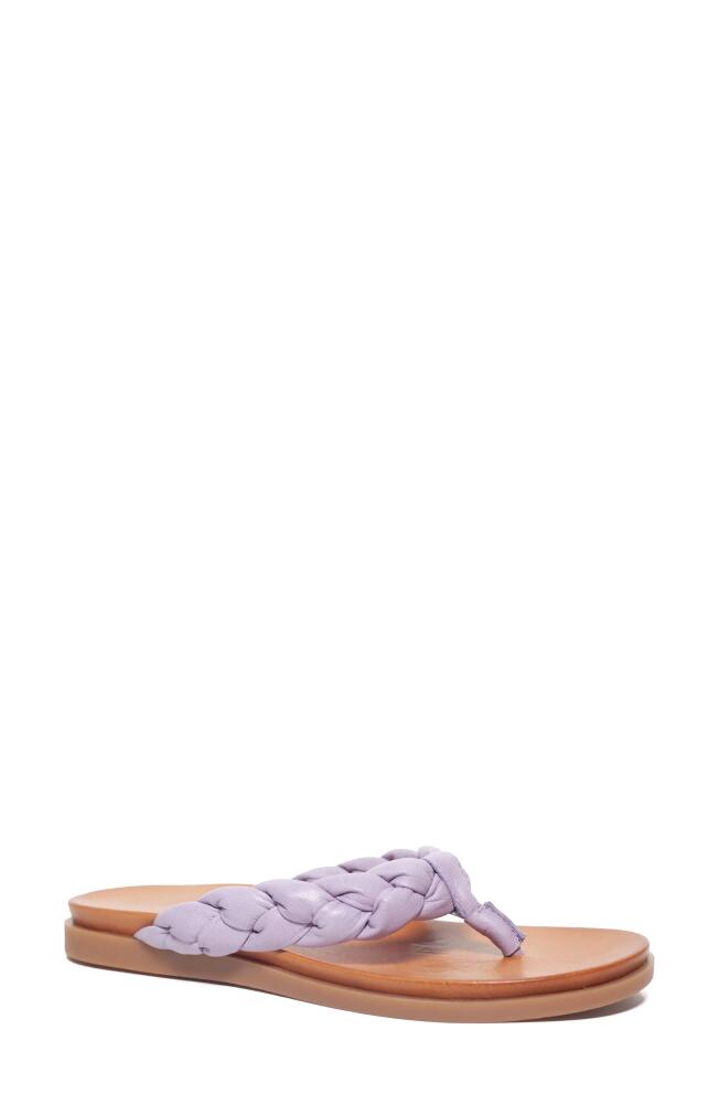 Unity in Diversity Diona Flip Flop in Violet Cover