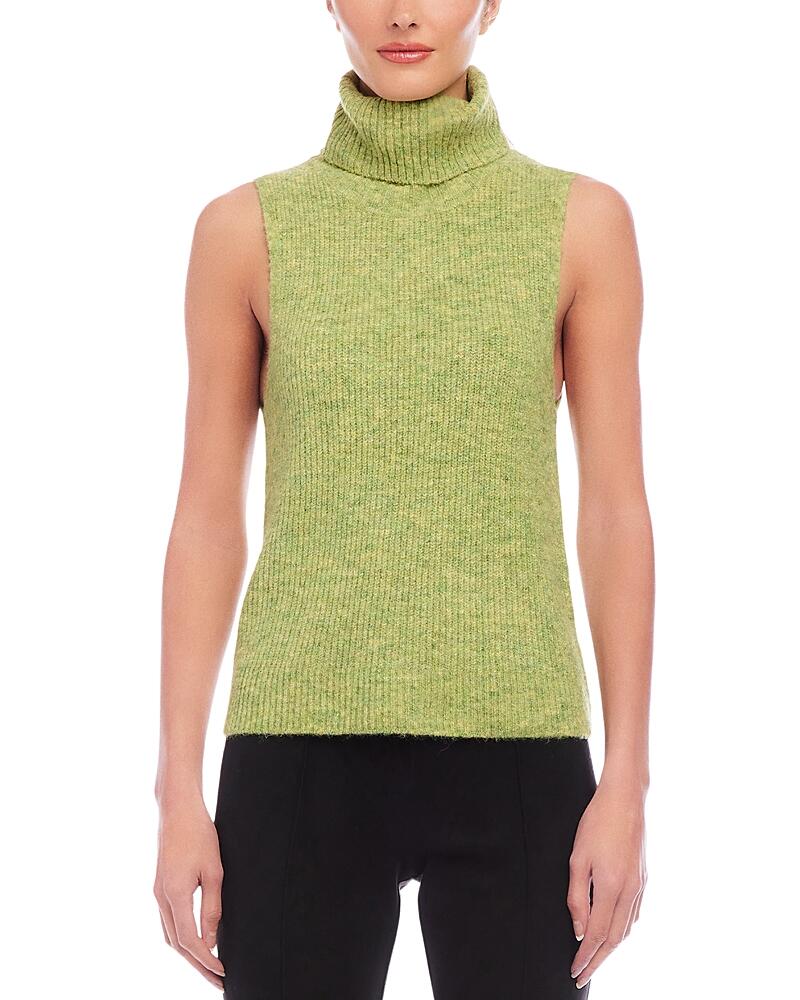 Fifteen Twenty Kelli Turtleneck Sweater Cover