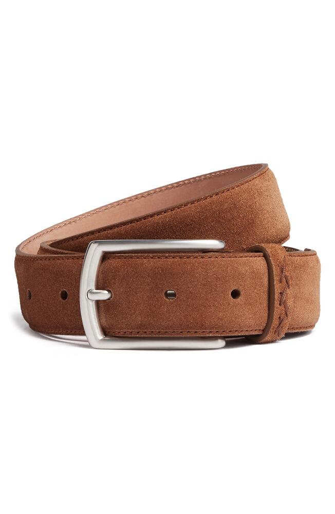 ZEGNA Triple Stitch Suede Belt in Vicuna Cover