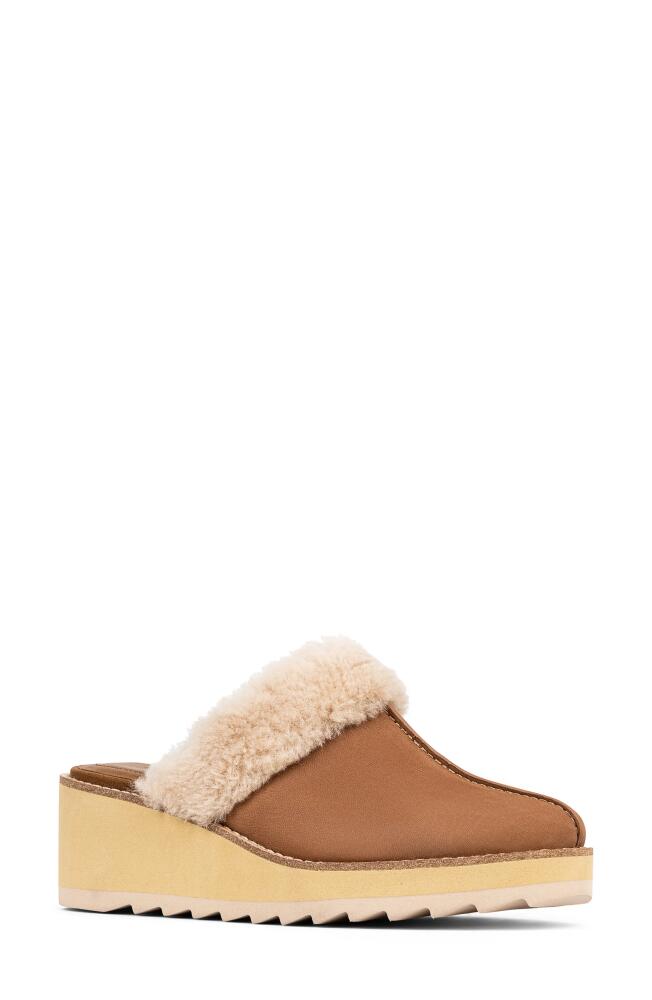 Donald Pliner Wedge Genuine Shearling Cuff Mule in Toast Cover