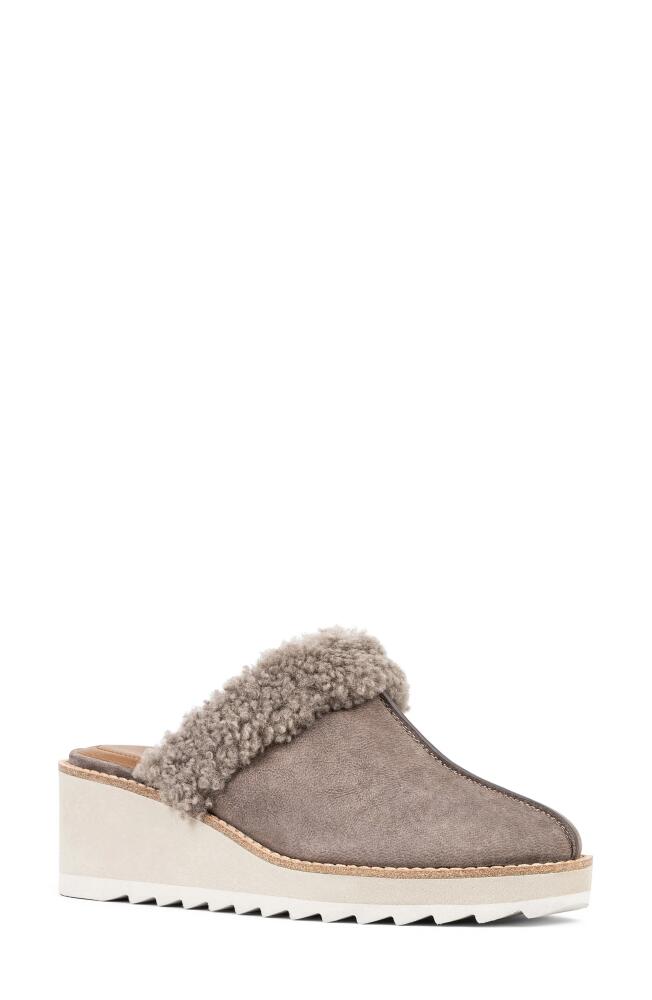 Donald Pliner Wedge Genuine Shearling Cuff Mule in Dark Grey Cover