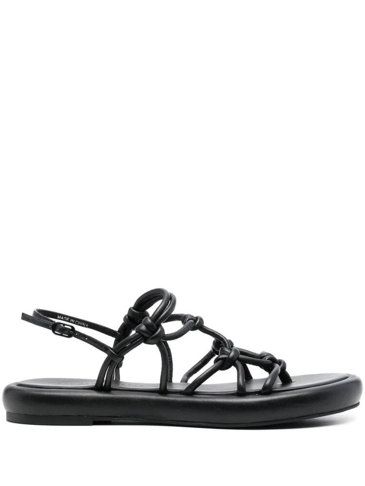 Studio Amelia strappy leather sandals - Black Cover