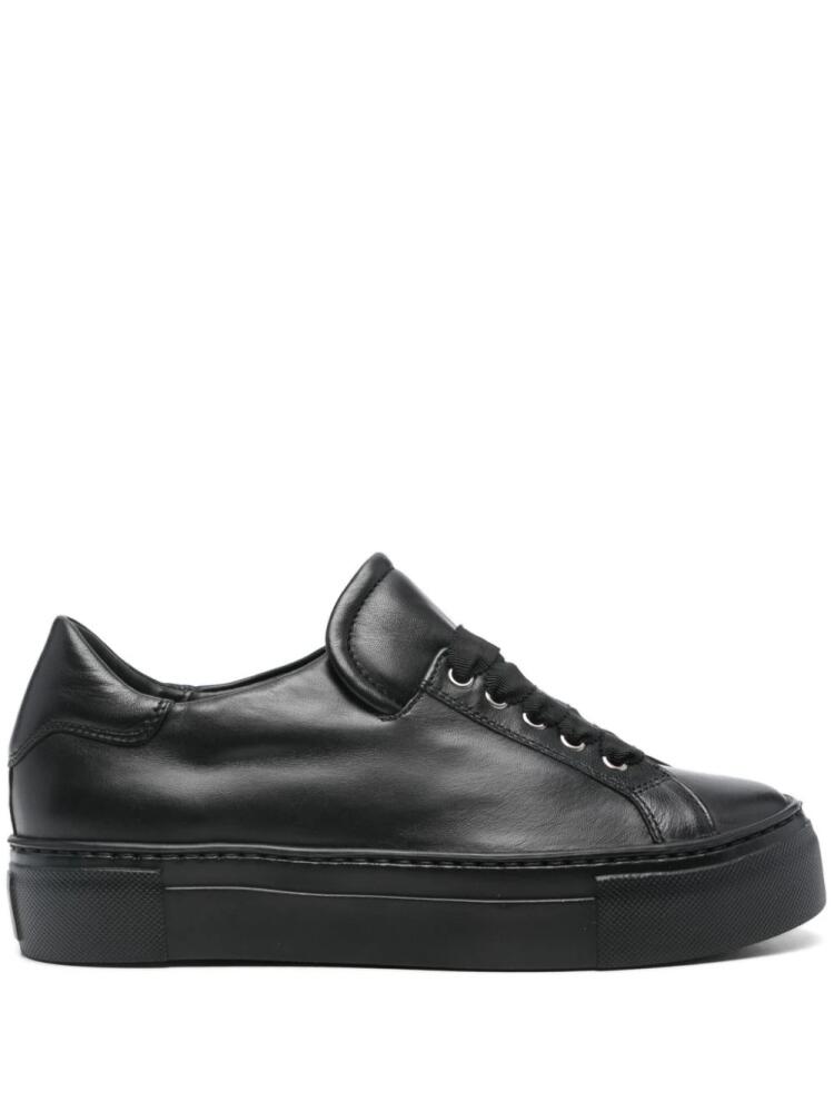 AGL Edda sneakers - Black Cover