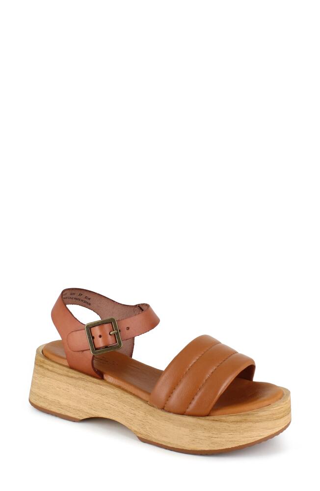 Candie's Elisa Platform Sandal in Tan Cover