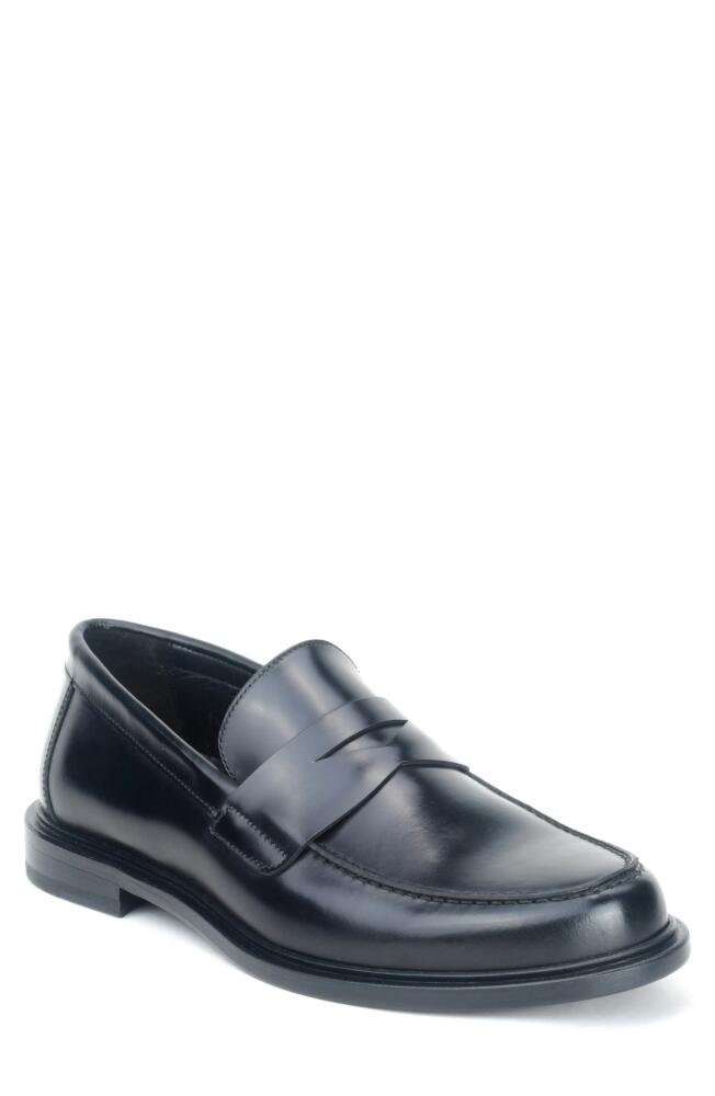 Warfield & Grand Preeminent Penny Loafer in Black Cover