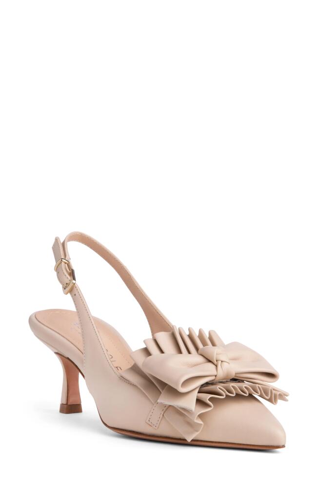 BEAUTIISOLES Fiorella Slingback Pointed Toe Pump in Beige Cover