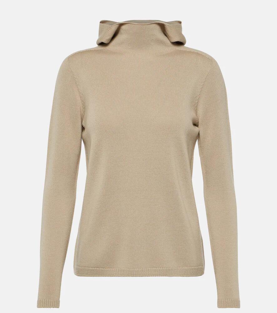 'S Max Mara Paprica wool turtleneck sweater Cover