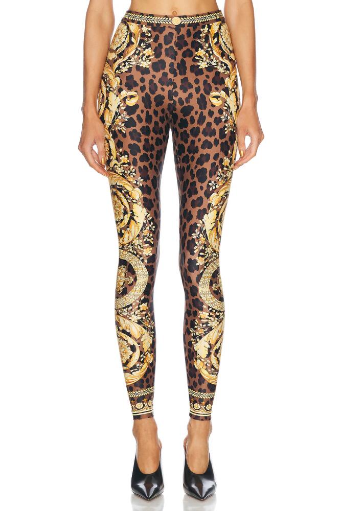 VERSACE Wild Barocco Legging in Brown Cover