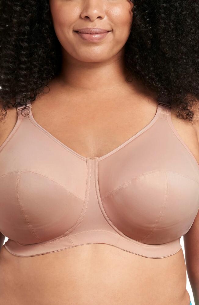 Goddess Celeste Full Figure Soft Cup Bra in Fawn Cover