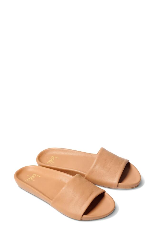 Beek Gallito Slide Sandal in Honey/Honey Cover