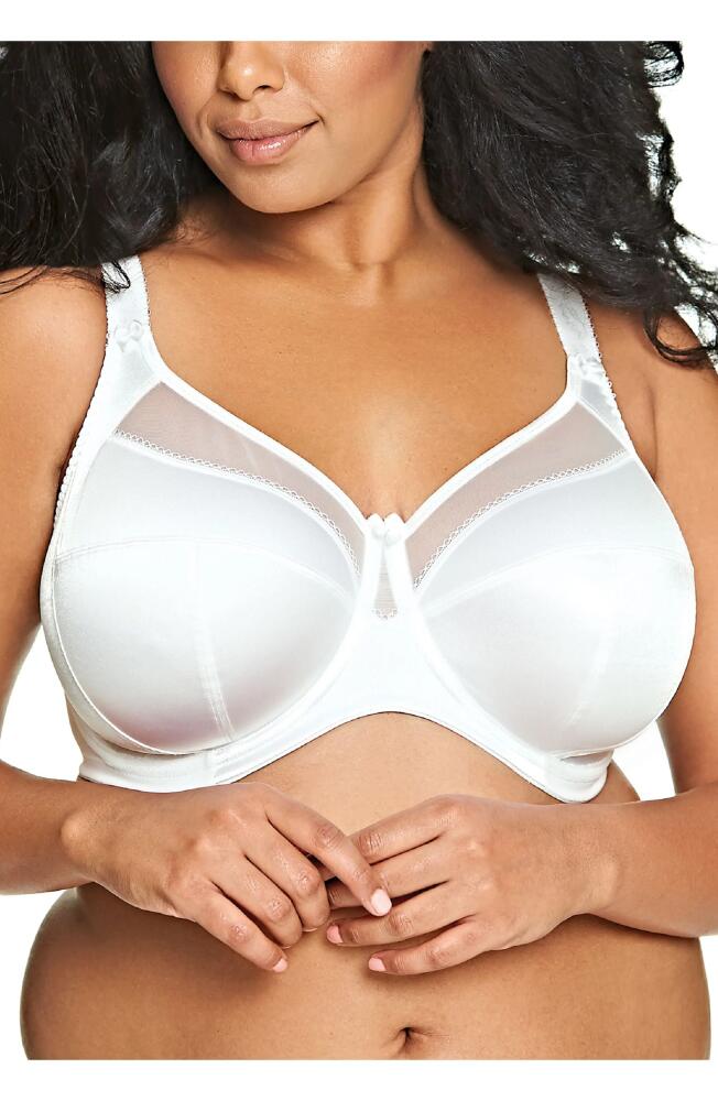 Goddess Keira Full Figure Underwire Bra in White Cover