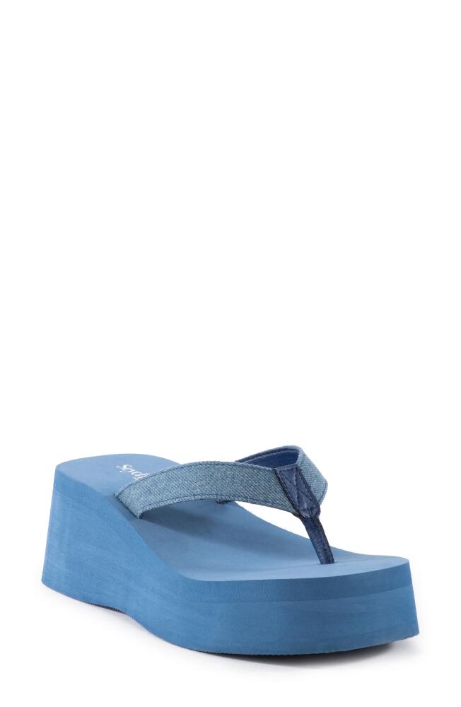 Seychelles Skyscraper Platform Flip Flop in Blue Cover