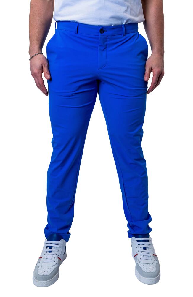 Maceoo Allday Slim Fit Pants in Blue Cover