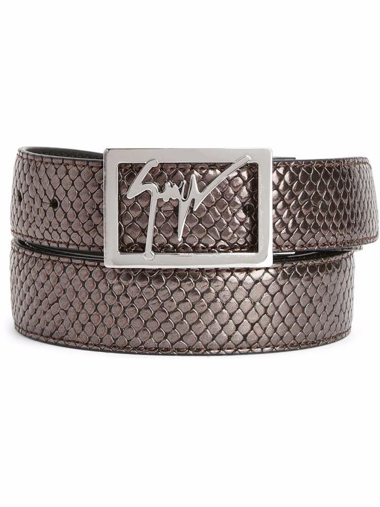 Giuseppe Zanotti snake-embossed logo buckle belt - Brown Cover