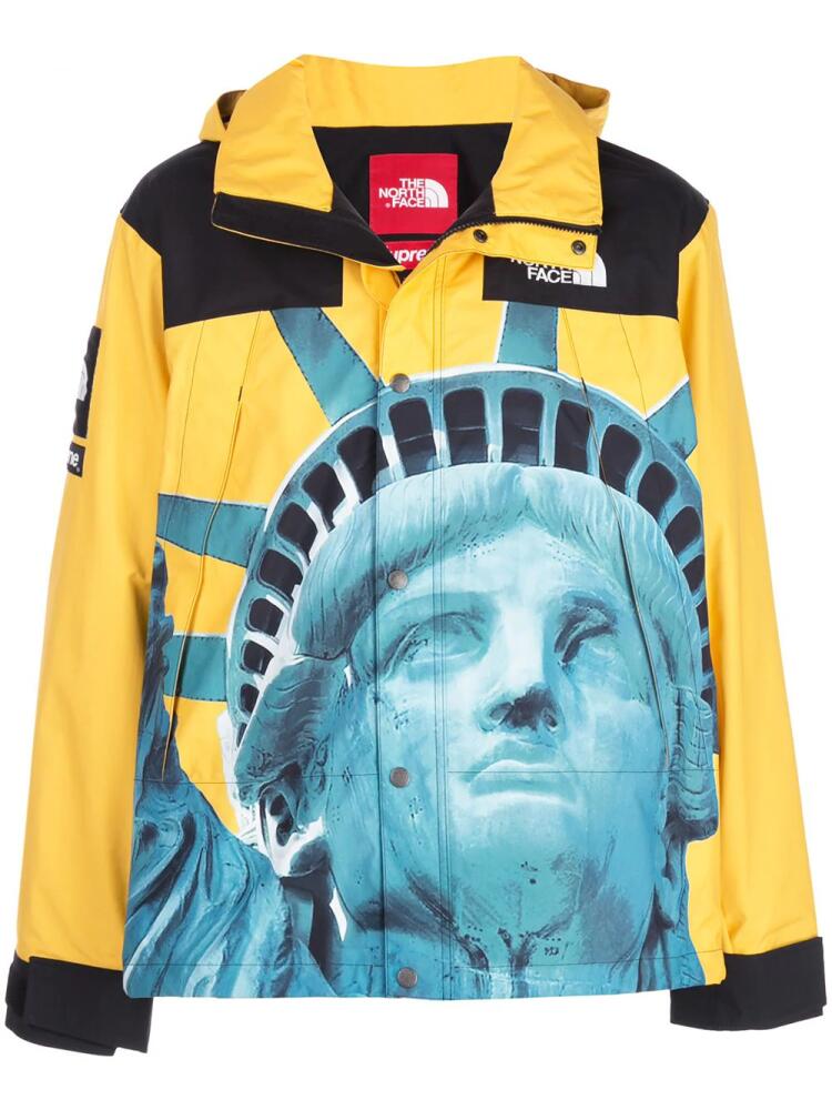 Supreme x The North Face Mountain jacket - Yellow Cover