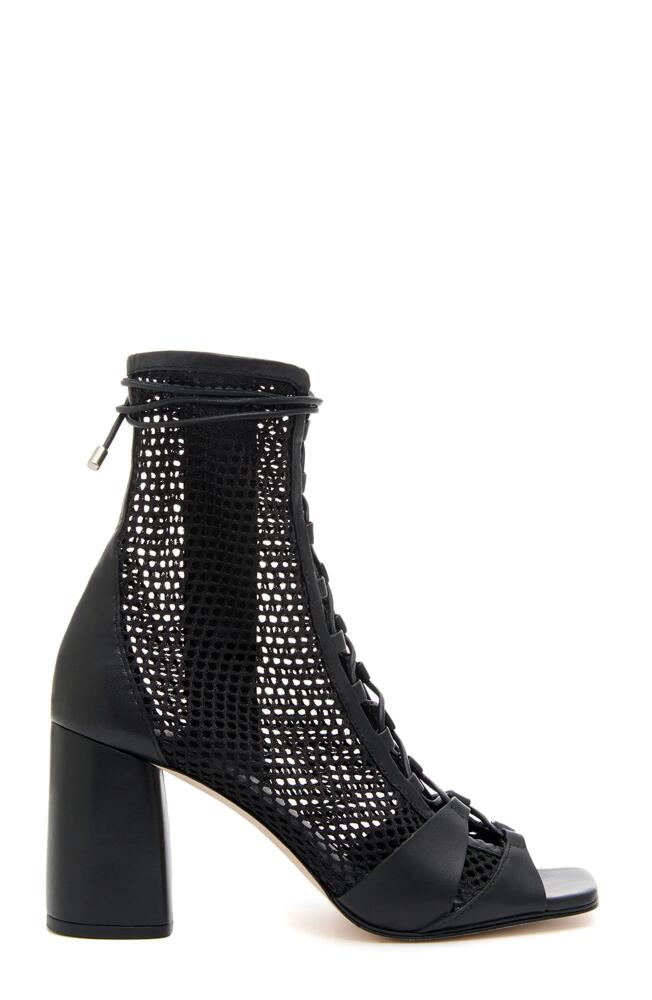 Daniella Shevel Romi Bootie in Black Cover