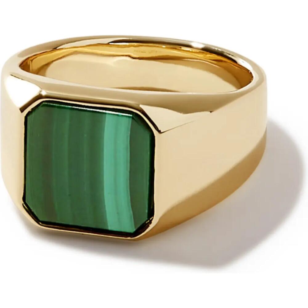 Ana Luisa Square Signet Ring - Michelle Signet in Gold Cover