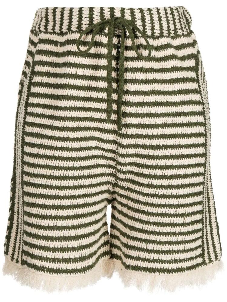 Muller Of Yoshiokubo stripe-pattern cotton shorts - Green Cover