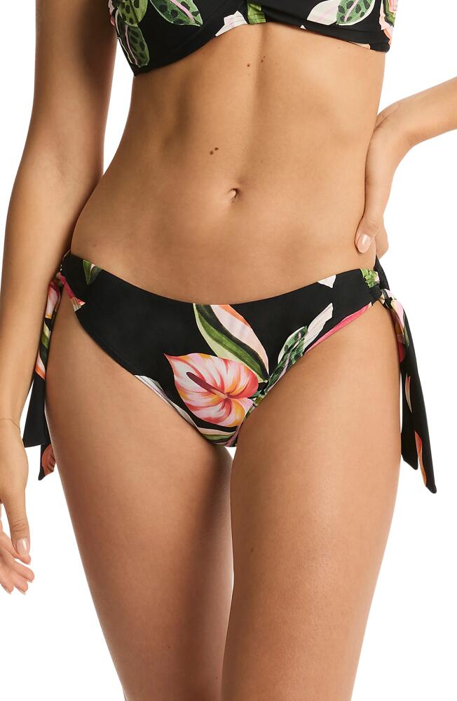 Sea Level Sundown Side Tie Bikini Bottoms in Black Cover